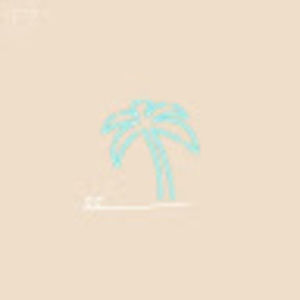 Meet your Posher, Maggie